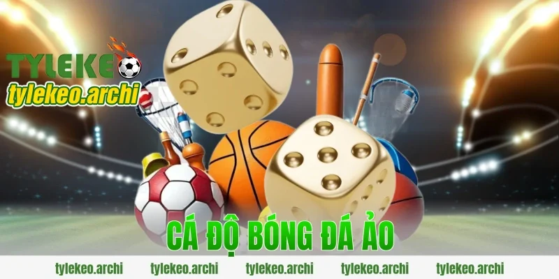 cá độ bóng đá ảo