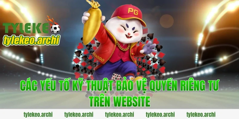 Các yếu tố kỹ thuật bảo vệ quyền riêng tư trên website