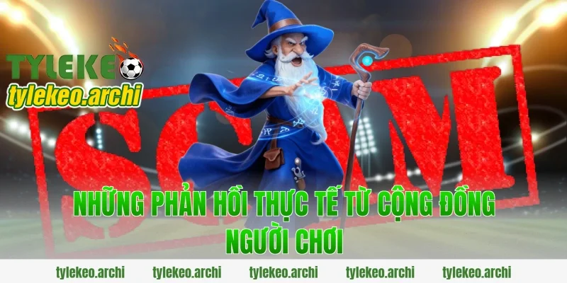 Những Phản Hồi Thực Tế Từ Cộng Đồng Người Chơi